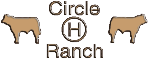 Circle H Ranch, circle h ranch, Limousin, cattle, cows, bulls, donor cows, purebreds, genetics, bulls for sale, females for sale, ranches, herd sires, embryos, NALF, epds, A.I. sires, pedigrees"
